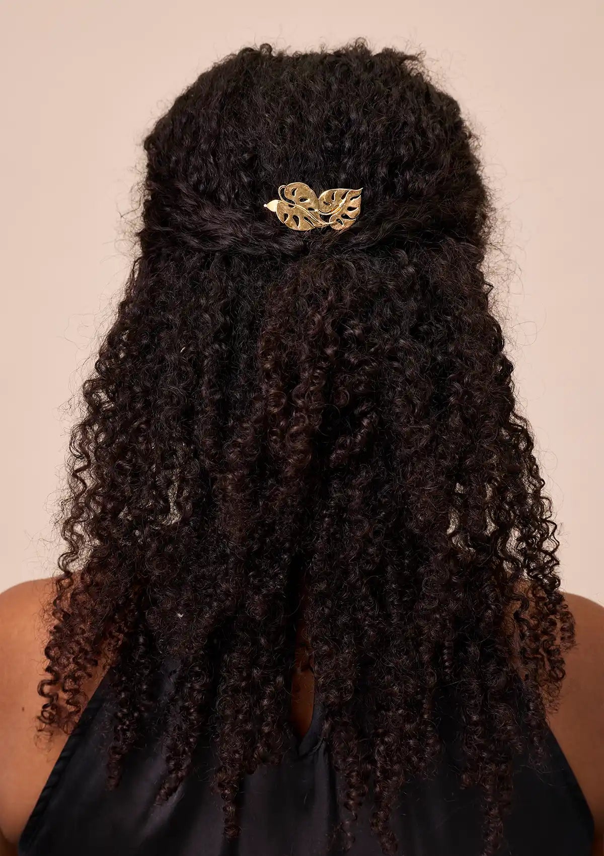 Buy Tropical Leaf Clip